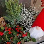 Maison 140m2 Au Calme - Beau Jardin - A 15mn A Pied Du Centre-ville De Ferienhaus *