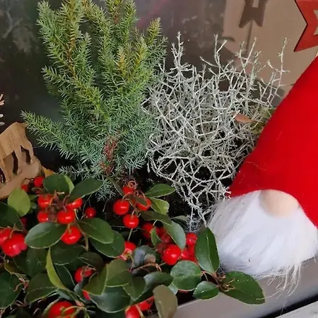 Maison 140m2 Au Calme - Beau Jardin - A 15mn A Pied Du Centre-ville De 펜션 *