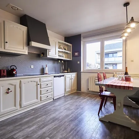 Maison 140m2 Au Calme - Beau Jardin - A 15mn A Pied Du Centre-ville De 펜션 콜마