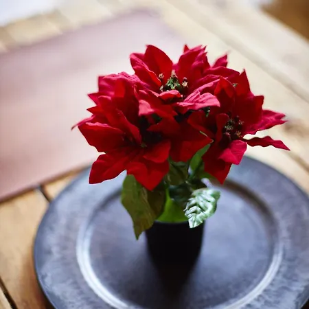 Maison 140m2 Au Calme - Beau Jardin - A 15mn A Pied Du Centre-ville De