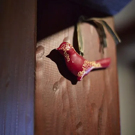 Maison 140m2 Au Calme - Beau Jardin - A 15mn A Pied Du Centre-ville De