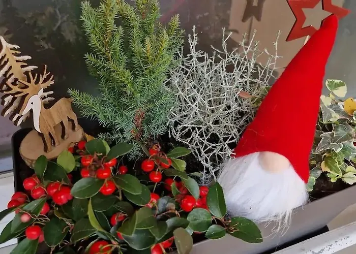 Maison 140m2 Au Calme - Beau Jardin - A 15mn A Pied Du Centre-ville De 度假居 *