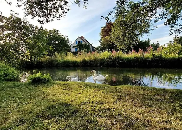 度假居 Maison 140m2 Au Calme - Beau Jardin - A 15mn A Pied Du Centre-ville De *